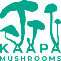 Kääpä Mushrooms